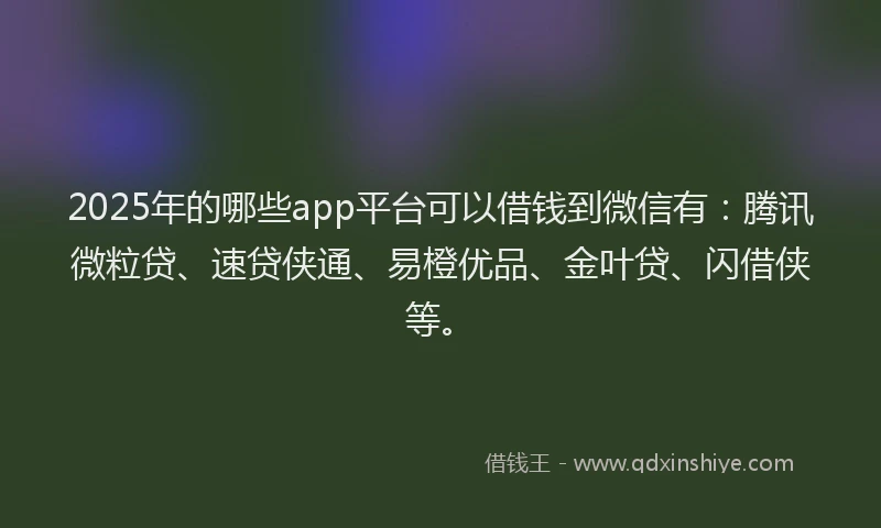 2025年的哪些app平台可以借钱到微信有：腾讯微粒贷、速贷侠通、易橙优品、金叶贷、闪借侠等。