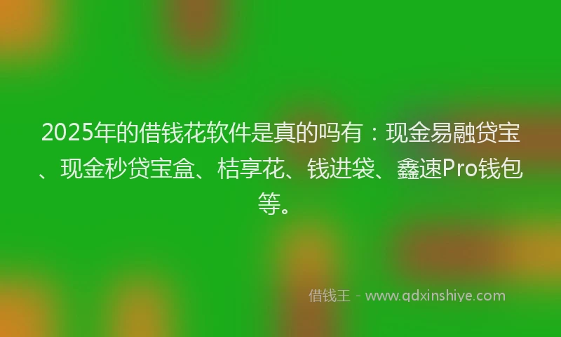 2025年的借钱花软件是真的吗有：现金易融贷宝、现金秒贷宝盒、桔享花、钱进袋、鑫速Pro钱包等。