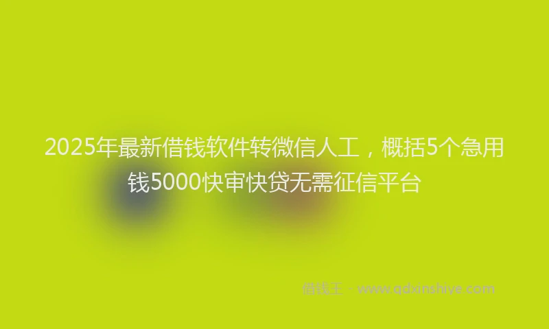 2025年最新借钱软件转微信人工，概括5个急用钱5000快审快贷无需征信平台
