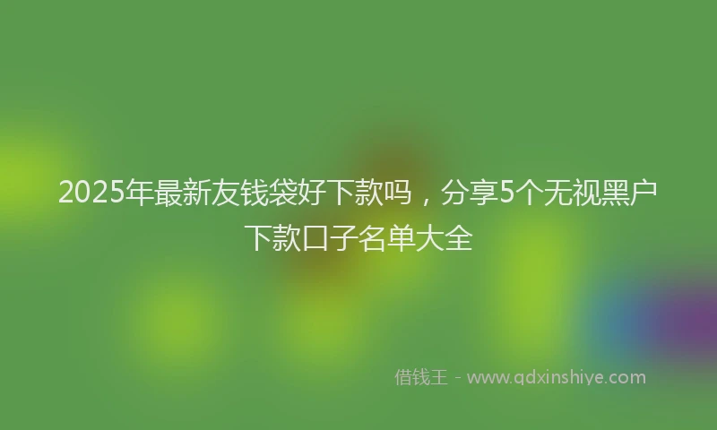 2025年最新友钱袋好下款吗，分享5个无视黑户下款口子名单大全