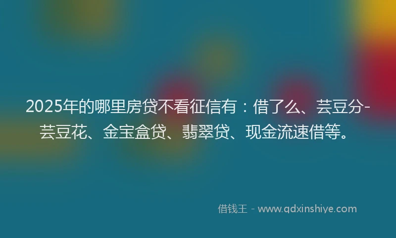2025年的哪里房贷不看征信有：借了么、芸豆分-芸豆花、金宝盒贷、翡翠贷、现金流速借等。