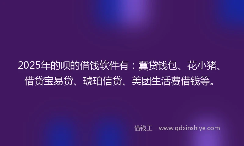 2025年的呗的借钱软件有：翼贷钱包、花小猪、借贷宝易贷、琥珀信贷、美团生活费借钱等。