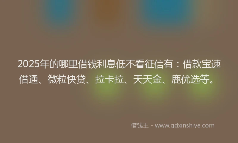 2025年的哪里借钱利息低不看征信有：借款宝速借通、微粒快贷、拉卡拉、天天金、鹿优选等。