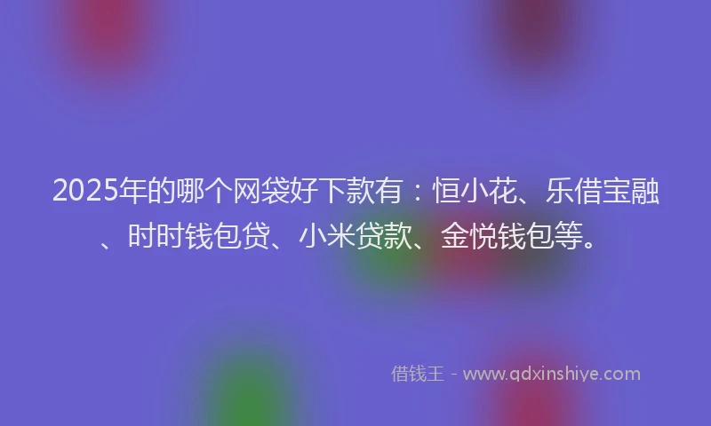 2025年的哪个网袋好下款有:恒小花、乐借宝融、时时钱包贷、小米贷款、金悦钱包等。
