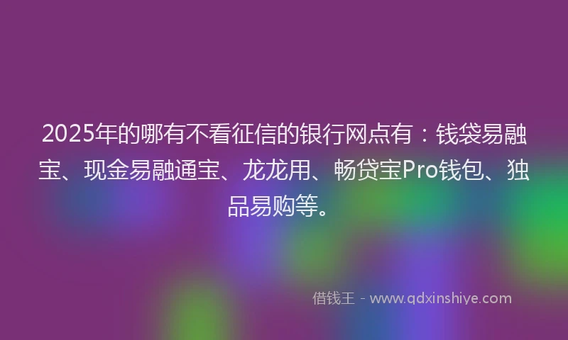 2025年的哪有不看征信的银行网点有：钱袋易融宝、现金易融通宝、龙龙用、畅贷宝Pro钱包、独品易购等。