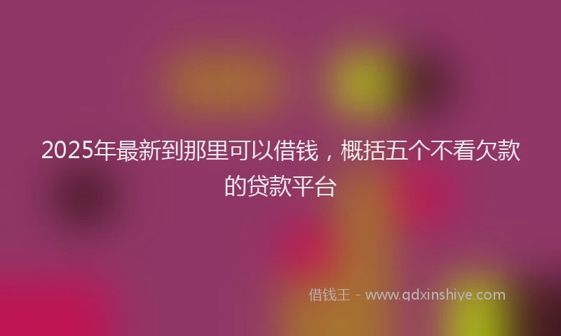 2025年最新到那里可以借钱，概括五个不看欠款的贷款平台