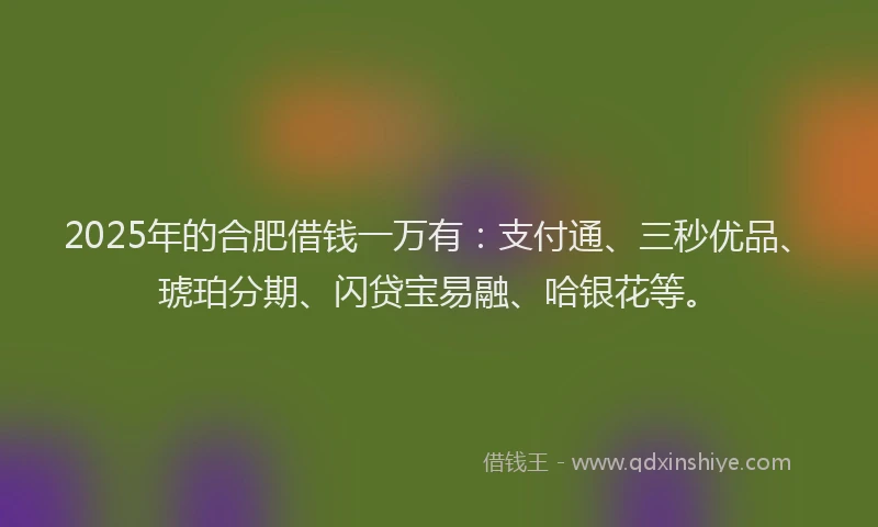 2025年的合肥借钱一万有：支付通、三秒优品、琥珀分期、闪贷宝易融、哈银花等。