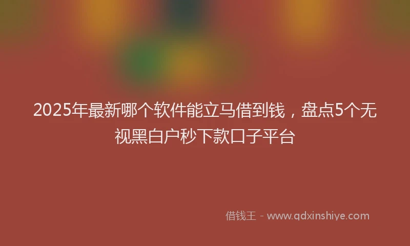 2025年最新哪个软件能立马借到钱，盘点5个无视黑白户秒下款口子平台