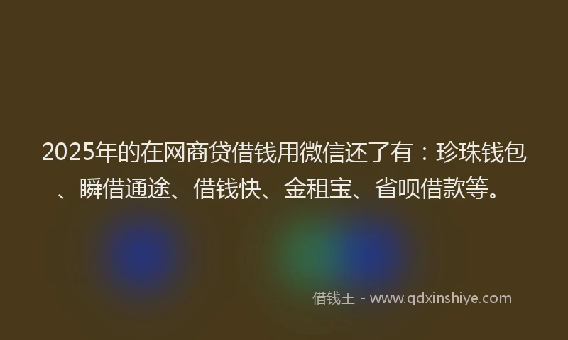 2025年的在网商贷借钱用微信还了有：珍珠钱包、瞬借通途、借钱快、金租宝、省呗借款等。