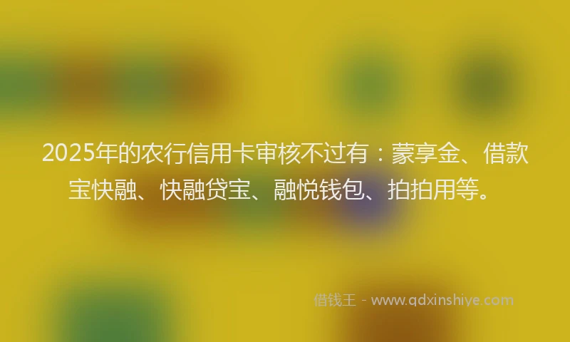 2025年的农行信用卡审核不过有：蒙享金、借款宝快融、快融贷宝、融悦钱包、拍拍用等。