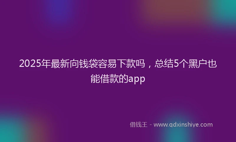 2025年最新向钱袋容易下款吗，总结5个黑户也能借款的app