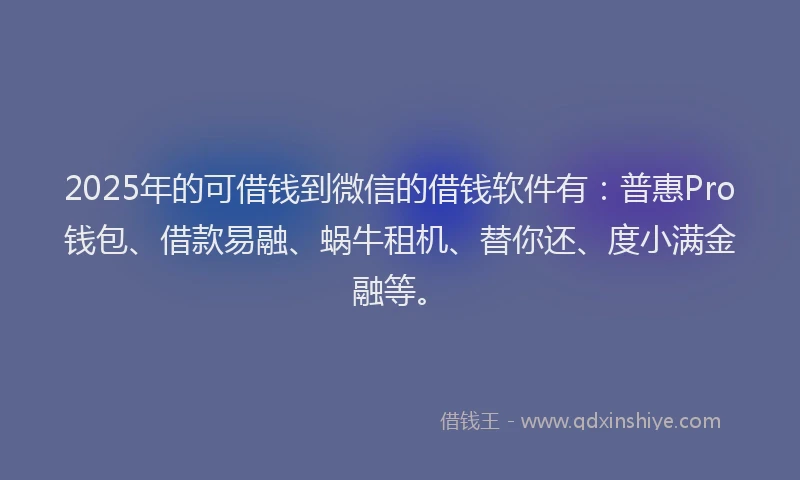 2025年的可借钱到微信的借钱软件有：普惠Pro钱包、借款易融、蜗牛租机、替你还、度小满金融等。