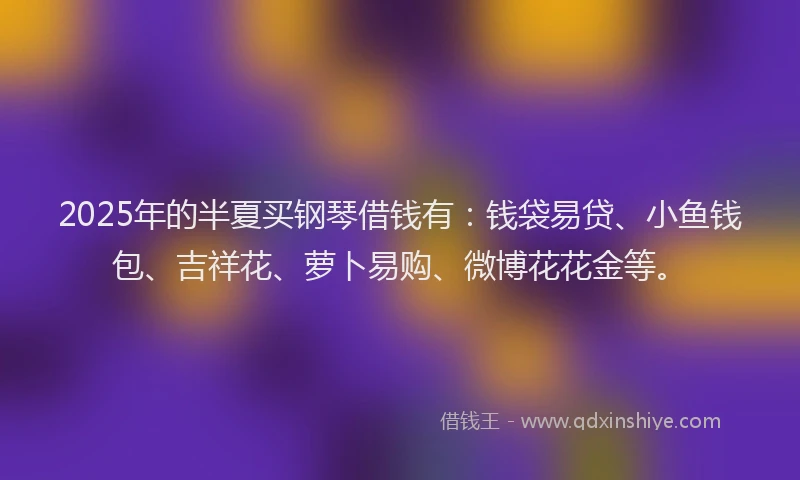 2025年的半夏买钢琴借钱有：钱袋易贷、小鱼钱包、吉祥花、萝卜易购、微博花花金等。