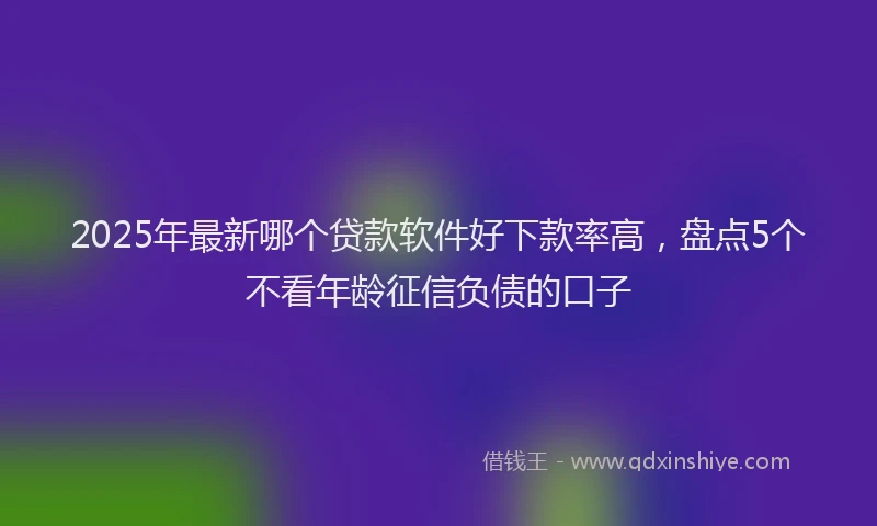 2025年最新哪个贷款软件好下款率高，盘点5个不看年龄征信负债的口子