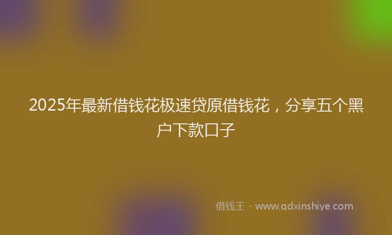 2025年最新借钱花极速贷原借钱花，分享五个黑户下款口子
