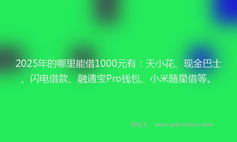 2025年的哪里能借1000元有：天小花、现金巴士、闪电借款、融通宝Pro钱包、小米随星借等。
