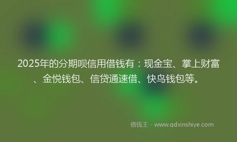 2025年的分期呗信用借钱有：现金宝、掌上财富、金悦钱包、信贷通速借、快鸟钱包等。