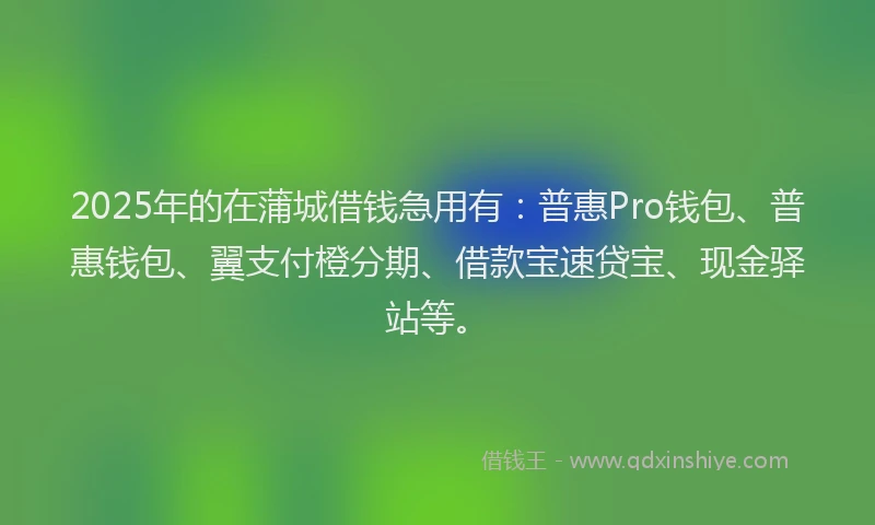 2025年的在蒲城借钱急用有:普惠Pro钱包、普惠钱包、翼支付橙分期、借款宝速贷宝、现金驿站等。