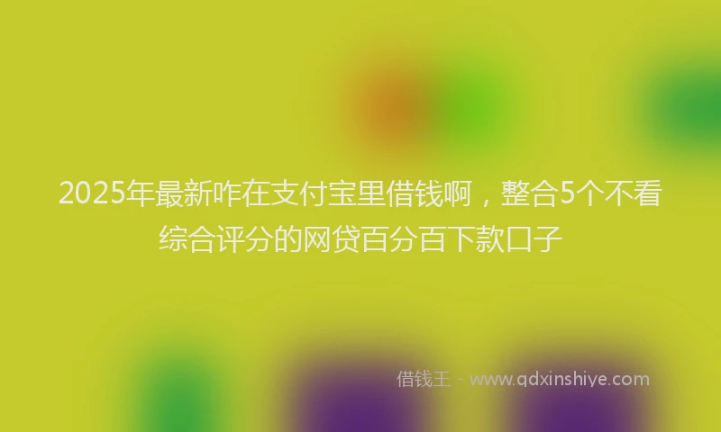 2025年最新咋在支付宝里借钱啊，整合5个不看综合评分的网贷百分百下款口子
