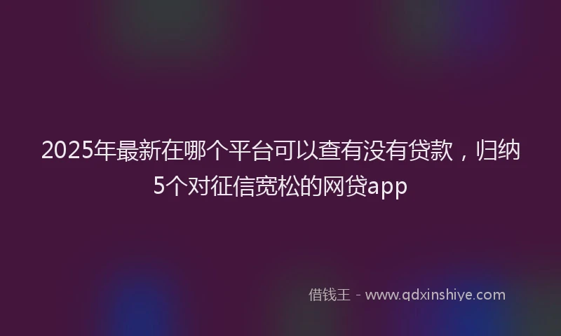 2025年最新在哪个平台可以查有没有贷款，归纳5个对征信宽松的网贷app