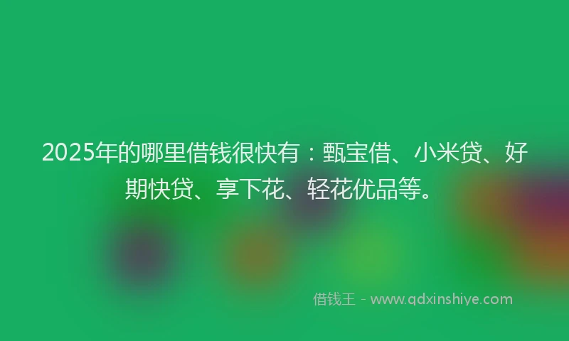 2025年的哪里借钱很快有：甄宝借、小米贷、好期快贷、享下花、轻花优品等。