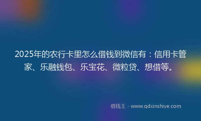 2025年的农行卡里怎么借钱到微信有：信用卡管家、乐融钱包、乐宝花、微粒贷、想借等。