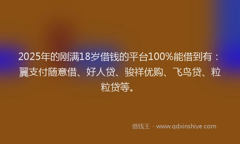 2025年的刚满18岁借钱的平台100%能借到有：翼支付随意借、好人贷、骏祥优购、飞鸟贷、粒粒贷等。