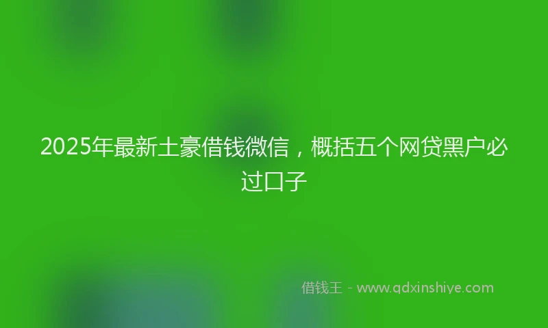2025年最新土豪借钱微信，概括五个网贷黑户必过口子