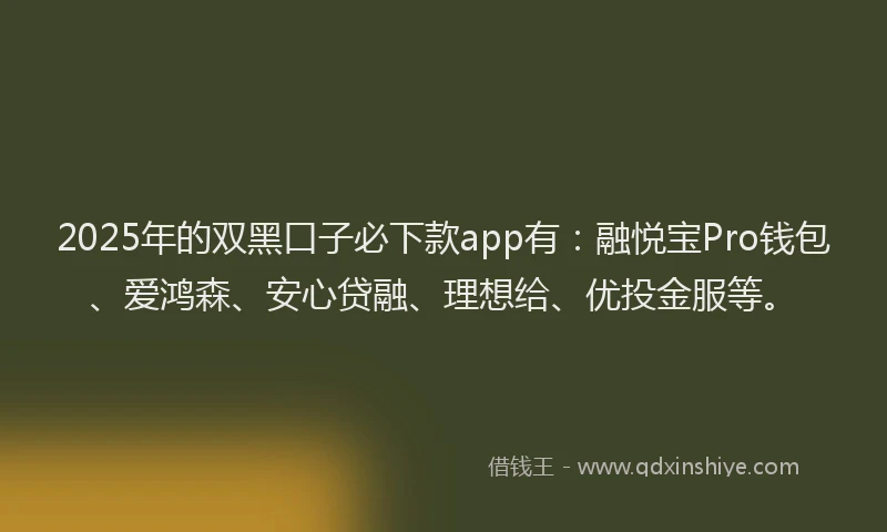 2025年的双黑口子必下款app有：融悦宝Pro钱包、爱鸿森、安心贷融、理想给、优投金服等。