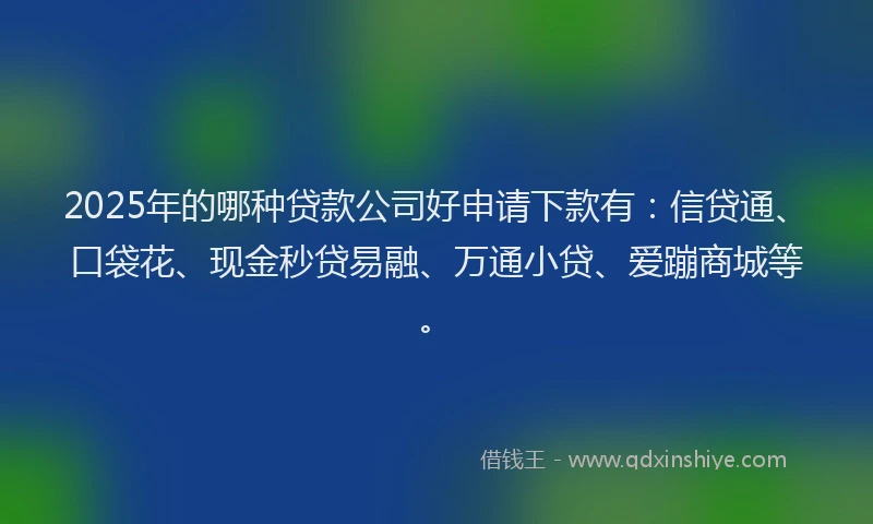 2025年的哪种贷款公司好申请下款有：信贷通、口袋花、现金秒贷易融、万通小贷、爱蹦商城等。