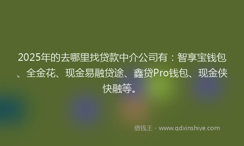 2025年的去哪里找贷款中介公司有：智享宝钱包、全金花、现金易融贷途、鑫贷Pro钱包、现金侠快融等。