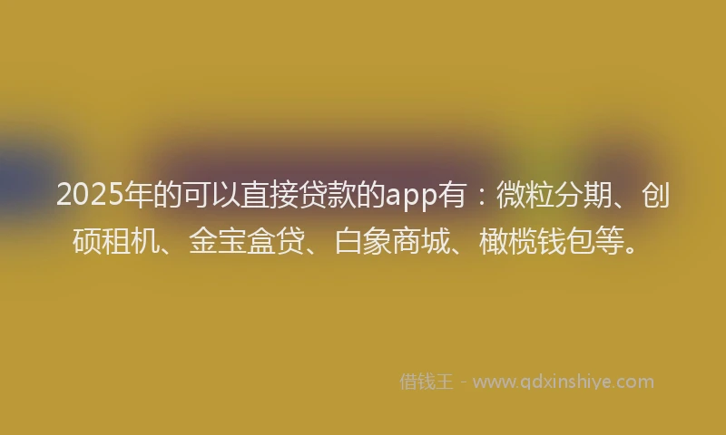 2025年的可以直接贷款的app有：微粒分期、创硕租机、金宝盒贷、白象商城、橄榄钱包等。