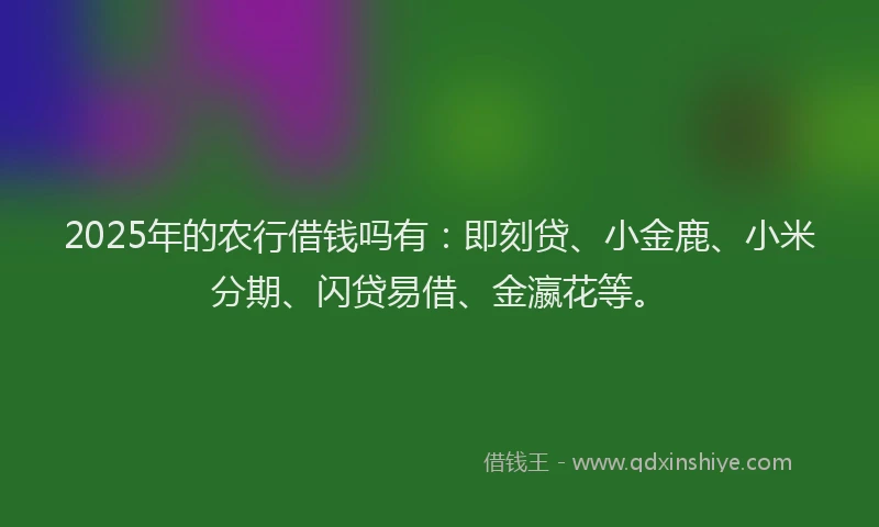 2025年的农行借钱吗有：即刻贷、小金鹿、小米分期、闪贷易借、金瀛花等。