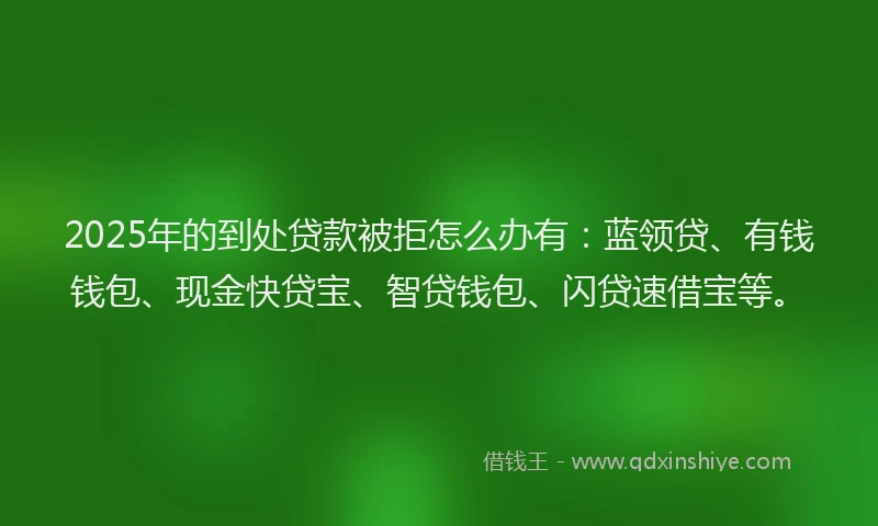 2025年的到处贷款被拒怎么办有：蓝领贷、有钱钱包、现金快贷宝、智贷钱包、闪贷速借宝等。