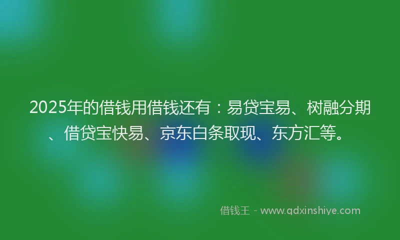 2025年的借钱用借钱还有：易贷宝易、树融分期、借贷宝快易、京东白条取现、东方汇等。