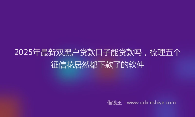 2025年最新双黑户贷款口子能贷款吗，梳理五个征信花居然都下款了的软件