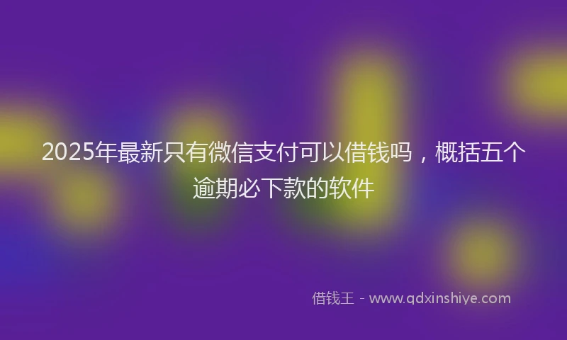 2025年最新只有微信支付可以借钱吗，概括五个逾期必下款的软件