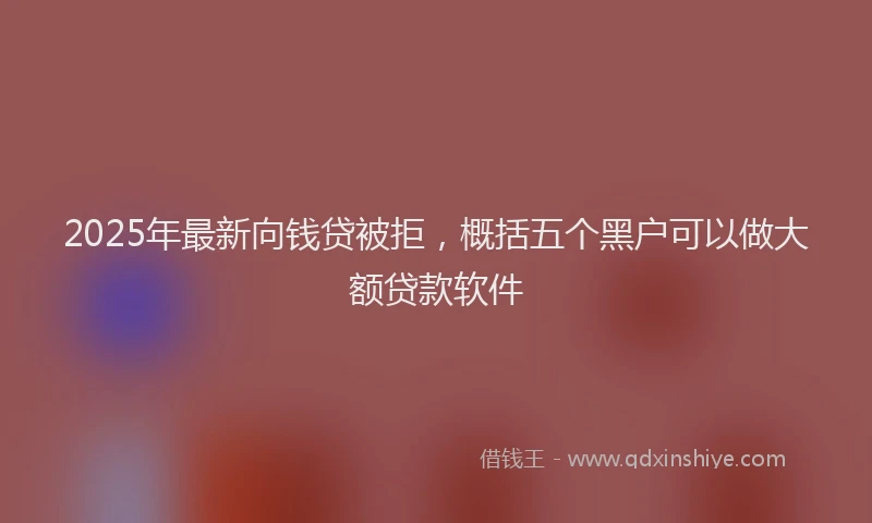 2025年最新向钱贷被拒，概括五个黑户可以做大额贷款软件