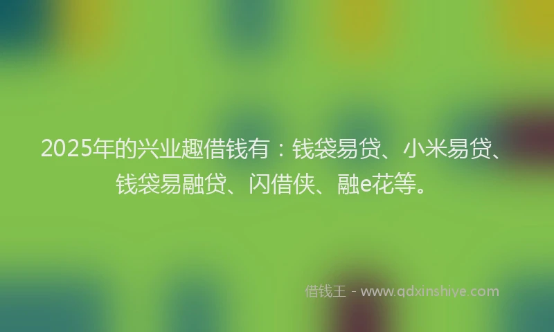 2025年的兴业趣借钱有：钱袋易贷、小米易贷、钱袋易融贷、闪借侠、融e花等。