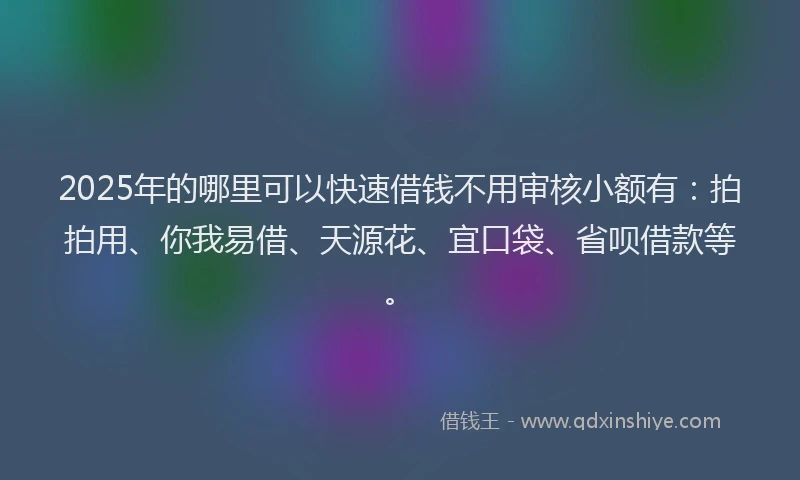 2025年的哪里可以快速借钱不用审核小额有：拍拍用、你我易借、天源花、宜口袋、省呗借款等。