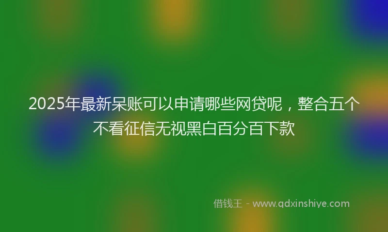 2025年最新呆账可以申请哪些网贷呢，整合五个不看征信无视黑白百分百下款