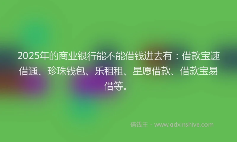 2025年的商业银行能不能借钱进去有：借款宝速借通、珍珠钱包、乐租租、星愿借款、借款宝易借等。