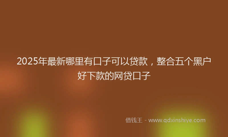 2025年最新哪里有口子可以贷款，整合五个黑户好下款的网贷口子