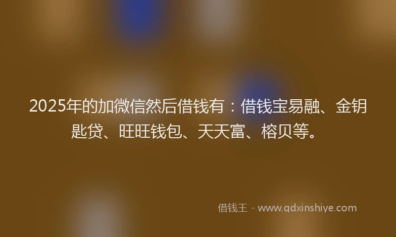 2025年的加微信然后借钱有：借钱宝易融、金钥匙贷、旺旺钱包、天天富、榕贝等。