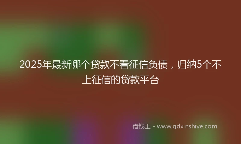 2025年最新哪个贷款不看征信负债，归纳5个不上征信的贷款平台