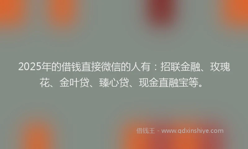 2025年的借钱直接微信的人有：招联金融、玫瑰花、金叶贷、臻心贷、现金直融宝等。