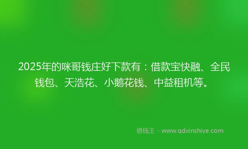 2025年的咪哥钱庄好下款有：借款宝快融、全民钱包、天浩花、小鹅花钱、中益租机等。