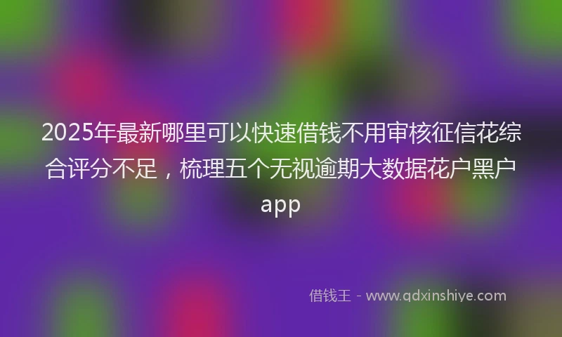 2025年最新哪里可以快速借钱不用审核征信花综合评分不足，梳理五个无视逾期大数据花户黑户app