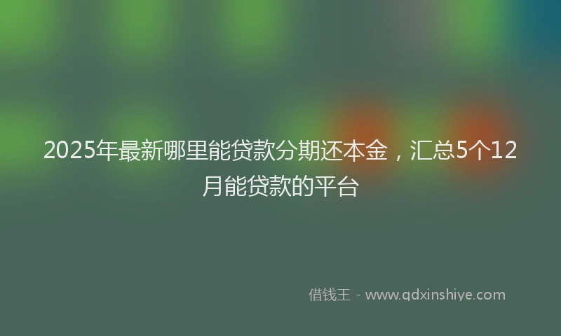 2025年最新哪里能贷款分期还本金，汇总5个12月能贷款的平台