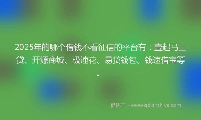 2025年的哪个借钱不看征信的平台有：壹起马上贷、开源商城、极速花、易贷钱包、钱速借宝等。